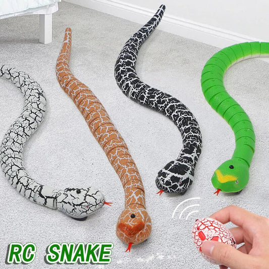 Remote Control Simulation Snake. at $29.97 from OddityGate