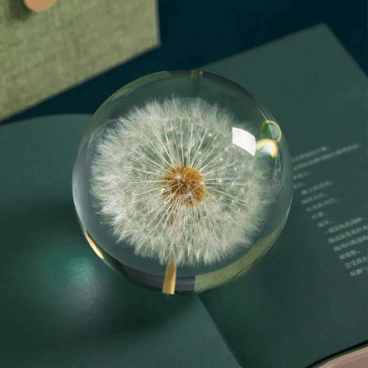 Dandelion Flower Crystal Glass Resin Ball at $28.47 from OddityGate