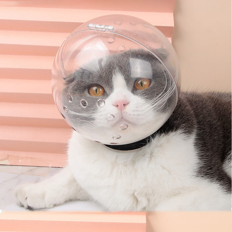 Anti Bite Hood For Cats at $24.33 from OddityGate