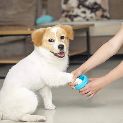 Pet Paw Cleaner at $21.47 from OddityGate